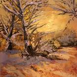 Winter in my backyard by MariCarmen Suarez Benitez