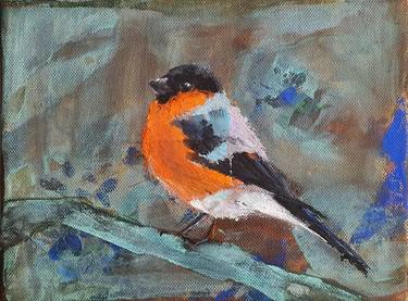 Bullfinch thumb