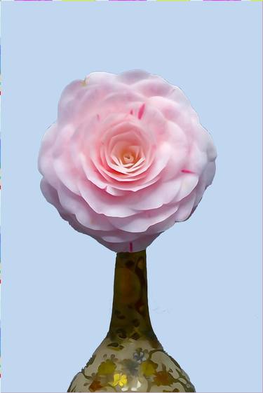 Camellia No.16 thumb