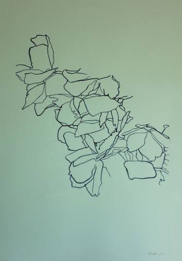 Original Fine Art Nature Drawings by Amanda Bracken