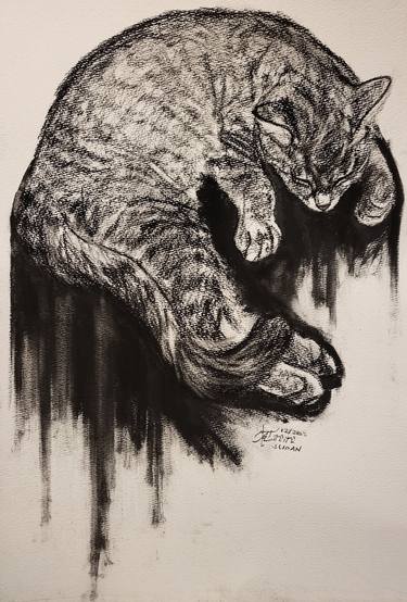 Original Fine Art Cats Drawings by Ann Supan