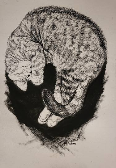 Original Fine Art Cats Drawings by Ann Supan
