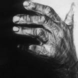 COMPELLING by Ann Supan