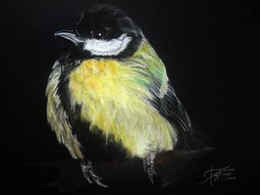 Print of Fine Art Animal Drawings by Ann Supan