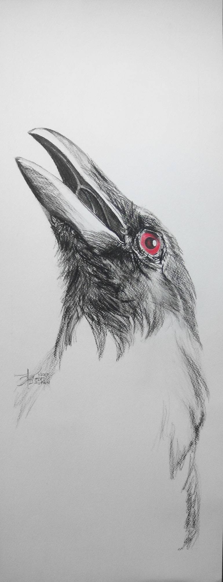 Original Animal Drawing by Ann Supan