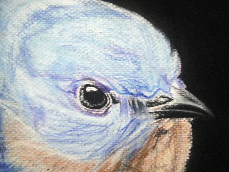 Original Illustration Animal Drawing by Ann Supan