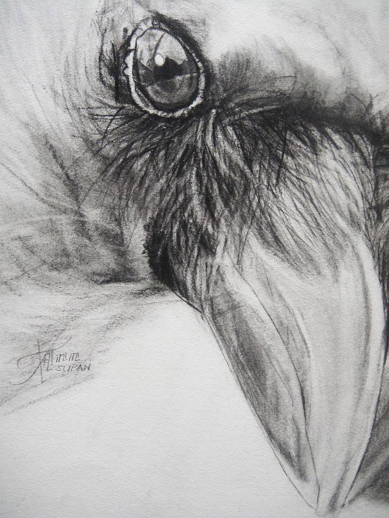 Original Animal Drawing by Ann Supan