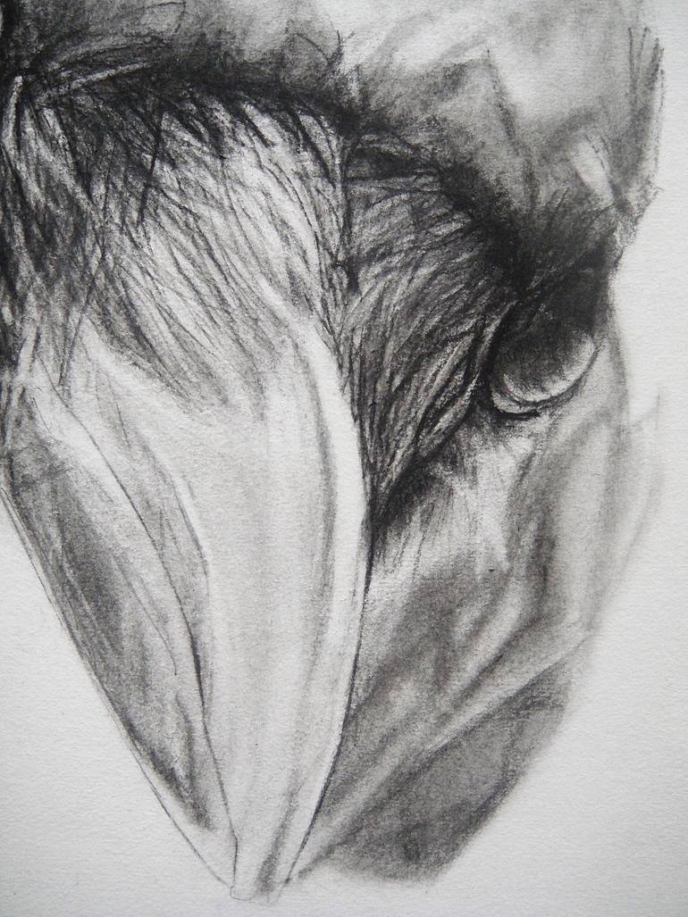 Original Expressionism Animal Drawing by Ann Supan