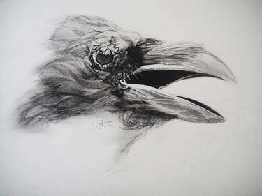 Print of Expressionism Animal Drawings by Ann Supan