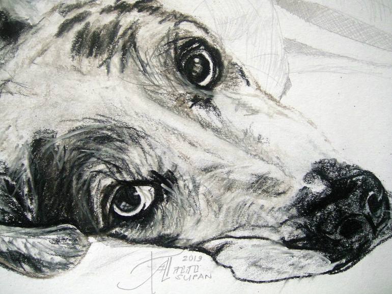Original Dogs Drawing by Ann Supan