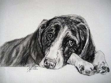 Print of Dogs Drawings by Ann Supan