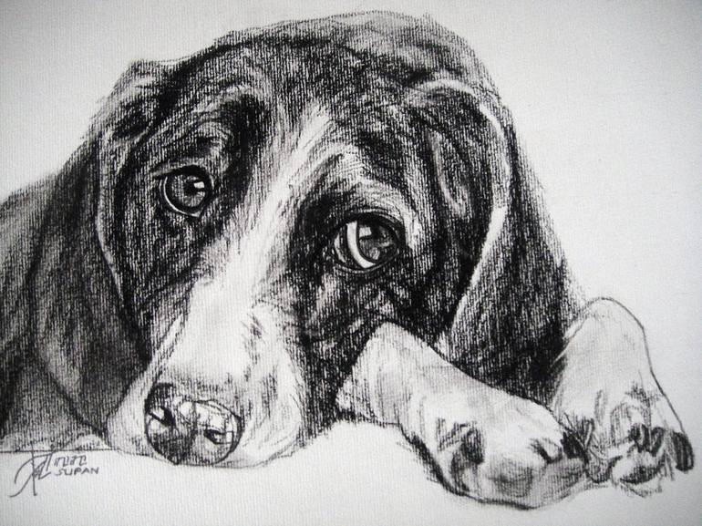 Original Fine Art Dogs Drawing by Ann Supan