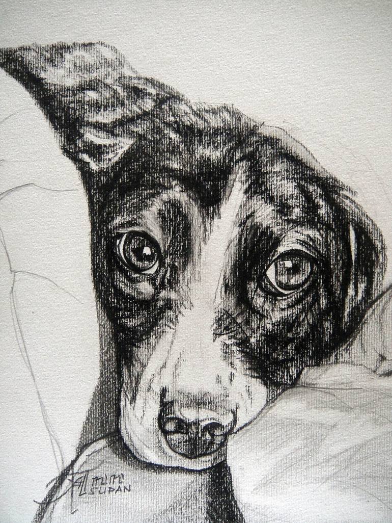 Original Dogs Drawing by Ann Supan