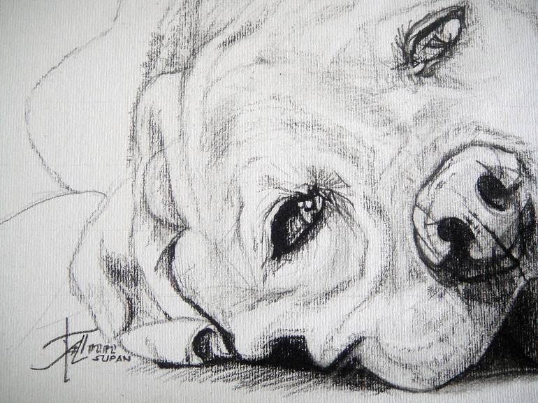 Original Dogs Drawing by Ann Supan