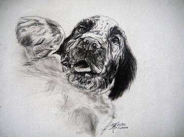 Original Fine Art Dogs Drawings by Ann Supan