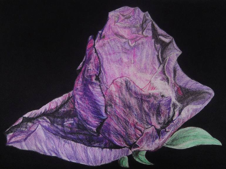 Original Floral Drawing by Ann Supan