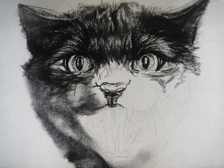 Original Cats Drawing by Ann Supan