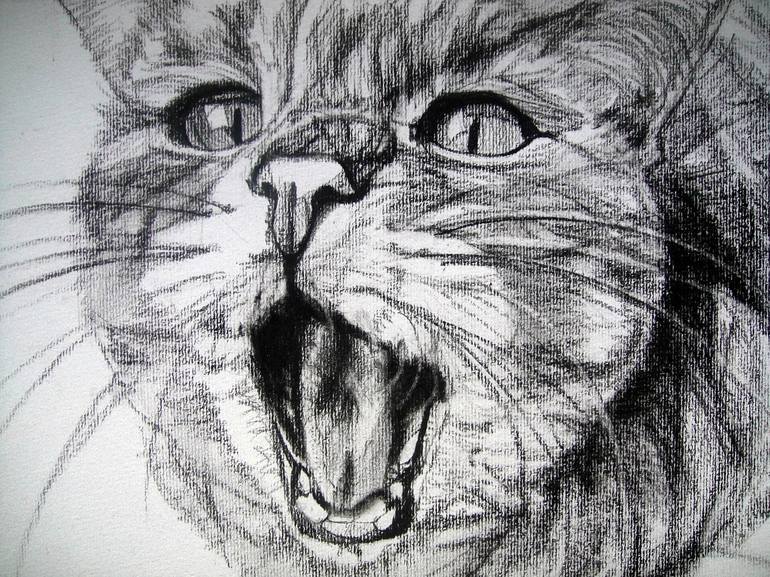 Original Cats Drawing by Ann Supan
