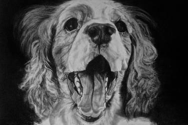 Print of Dogs Drawings by Ann Supan