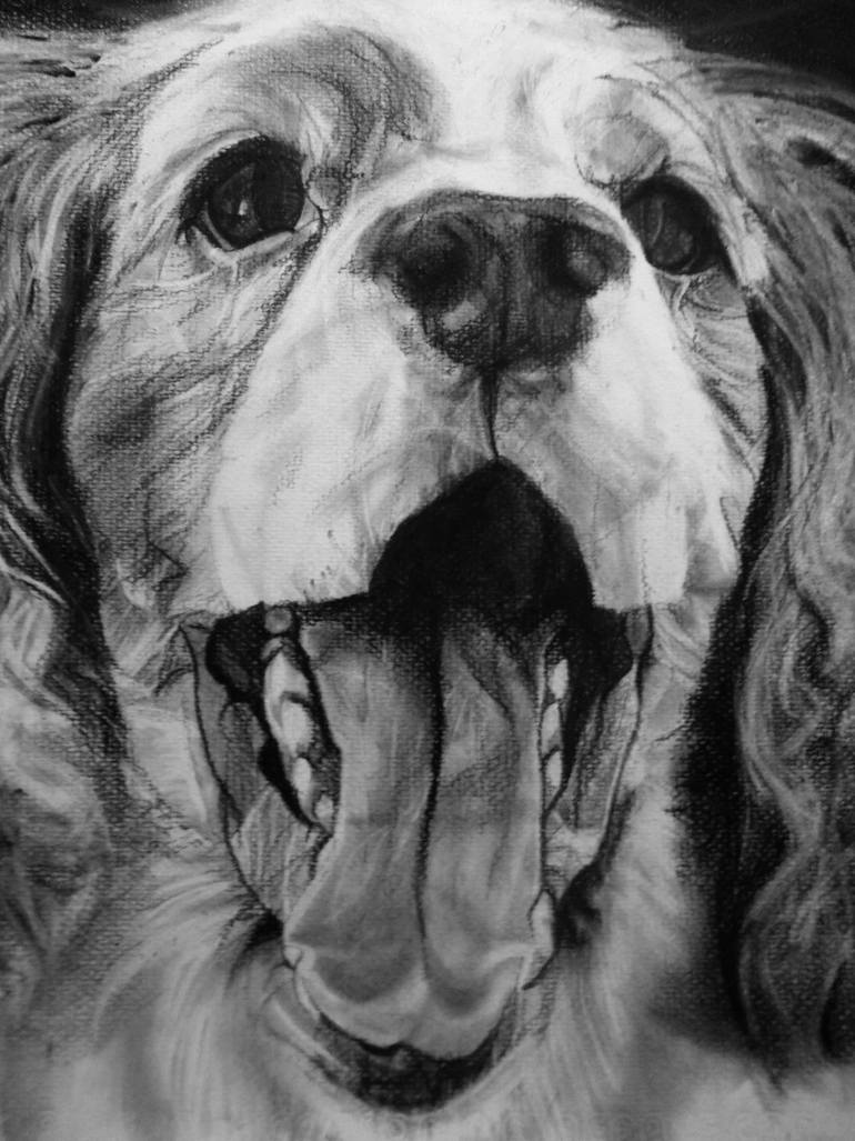 Original Documentary Dogs Drawing by Ann Supan