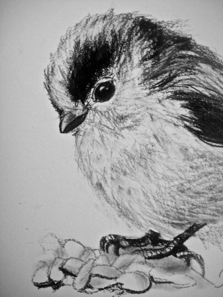 Original Documentary Animal Drawing by Ann Supan