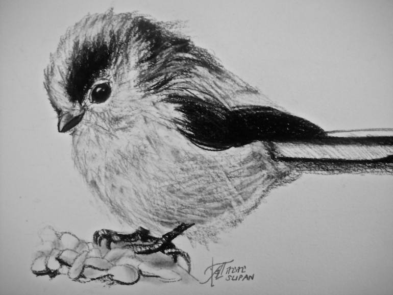 Original Documentary Animal Drawing by Ann Supan