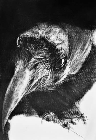Print of Expressionism Animal Drawings by Ann Supan