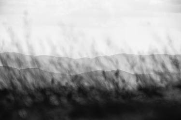 perspectives blurred by windy grass - Limited Edition 2 of 20 thumb