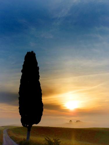 Tuscan Dawn 9 thumb