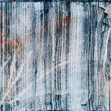 Birch by Damian Bellotti