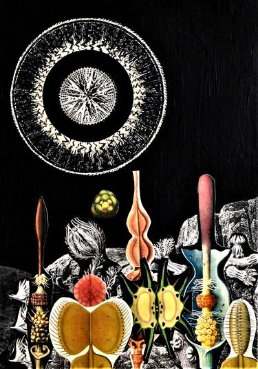 Print of Surrealism Outer Space Collage by Jack Steel