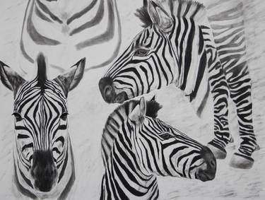 Original Animal Drawings by Jyotsna Singh Shields