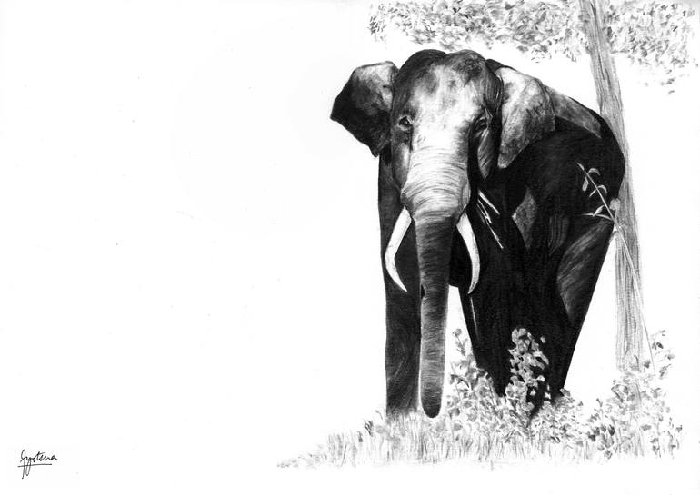 Original Fine Art Animal Drawing by Jyotsna Singh Shields