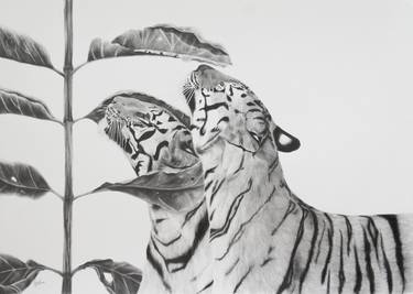 Original Animal Drawing by Jyotsna Singh Shields