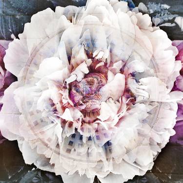 Original Figurative Floral Photography by Leanne Buskermolen