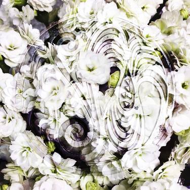 Original Abstract Floral Photography by Leanne Buskermolen