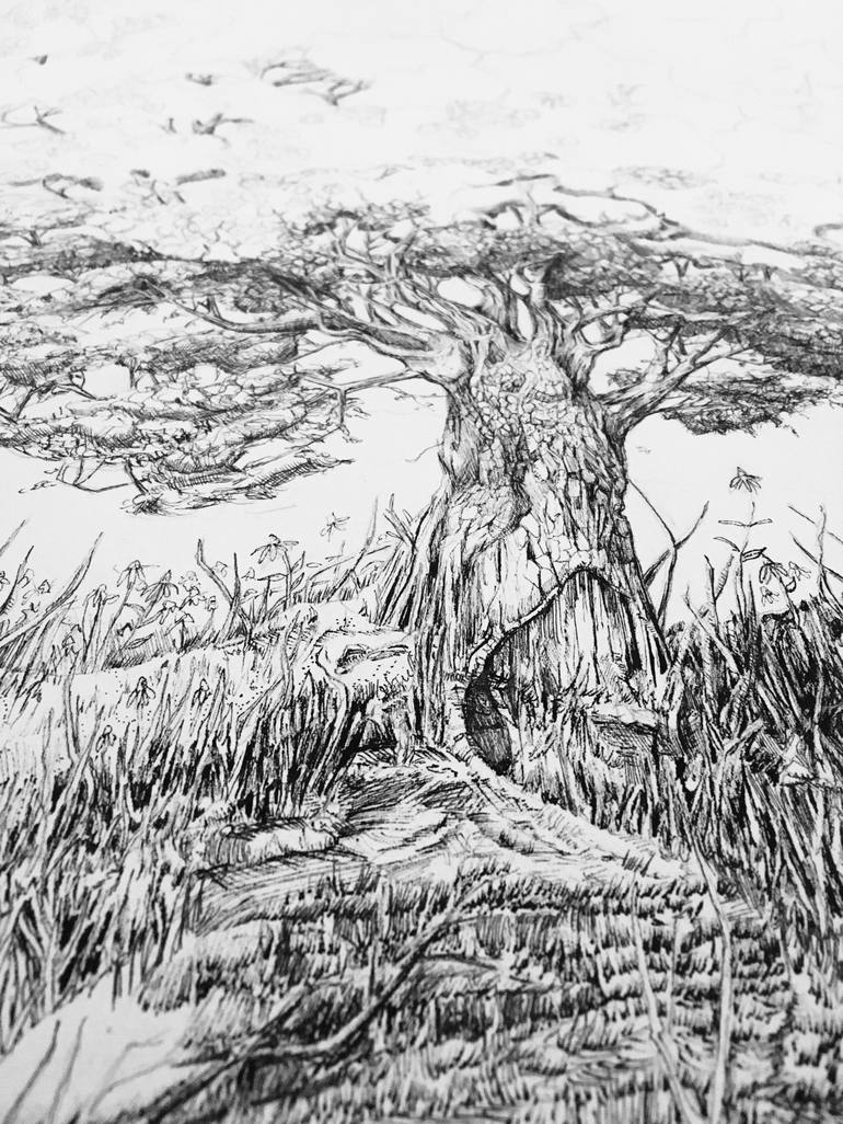 Original Nature Drawing by Jessica Russo Scherr