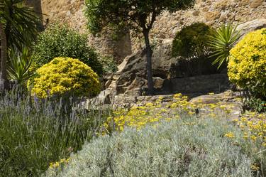 Garden in the village of Pals, Catalonia, Spain thumb