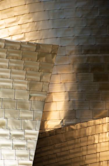 Original Abstract Architecture Photography by Douglas Williams