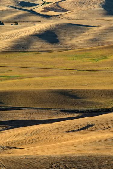 Print of Documentary Landscape Photography by Douglas Williams