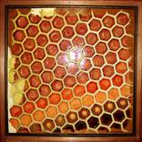 Honey...  Sweet Art by Marcos Albuquerque