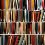 library48 - art history - Limited Edition 2 of 5 by Danae Falliers