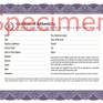 Example of a certificate of authenticity