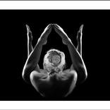 Symmetry No. 3 by Marc Lavergne