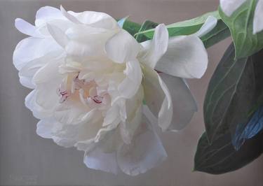 Print of Fine Art Floral Paintings by Stefan Braeuniger