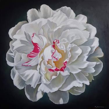 Portrait of white peony thumb