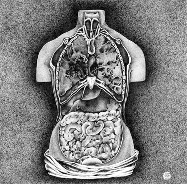 Original Mortality Drawings by Katarzyna Sliwa