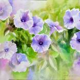 Charming Of Petunia Flowers by Alfiya Safi