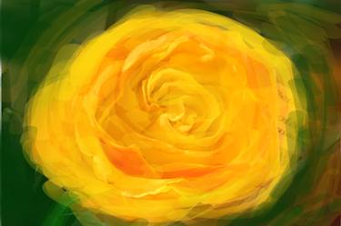 yellow rose - Limited Edition 1 of 2 thumb