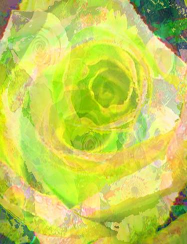 "Yellow Deep Evaqnescent Ephemeral Rose" Spirit World Visions Art - Limited Edition of 24 thumb